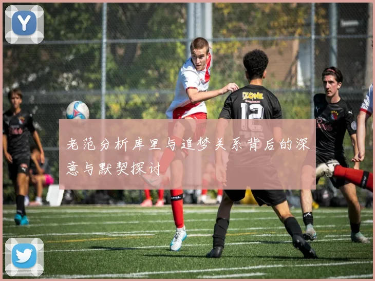 老范分析库里与追梦关系背后的深意与默契探讨