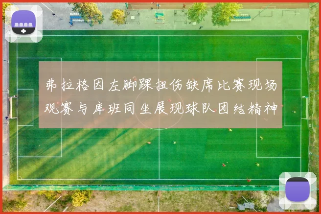 弗拉格因左脚踝扭伤缺席比赛现场观赛与库班同坐展现球队团结精神