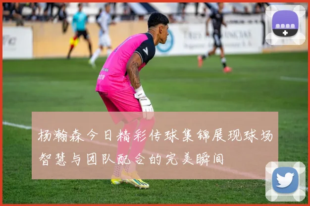 杨瀚森今日精彩传球集锦展现球场智慧与团队配合的完美瞬间