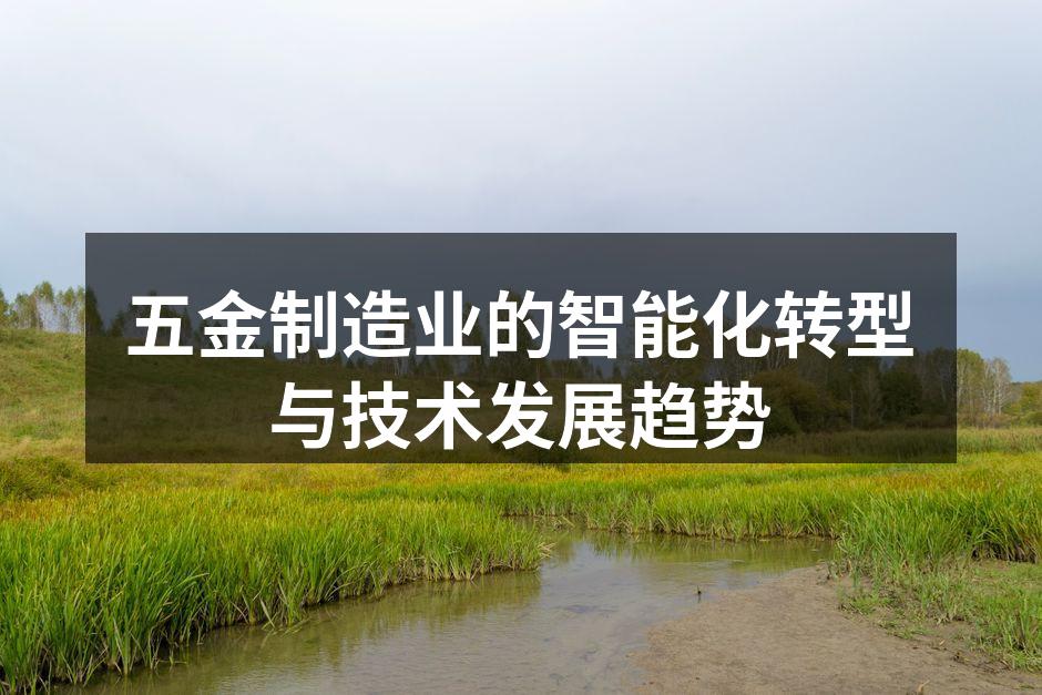 五金制造业的智能化转型与技术发展趋势